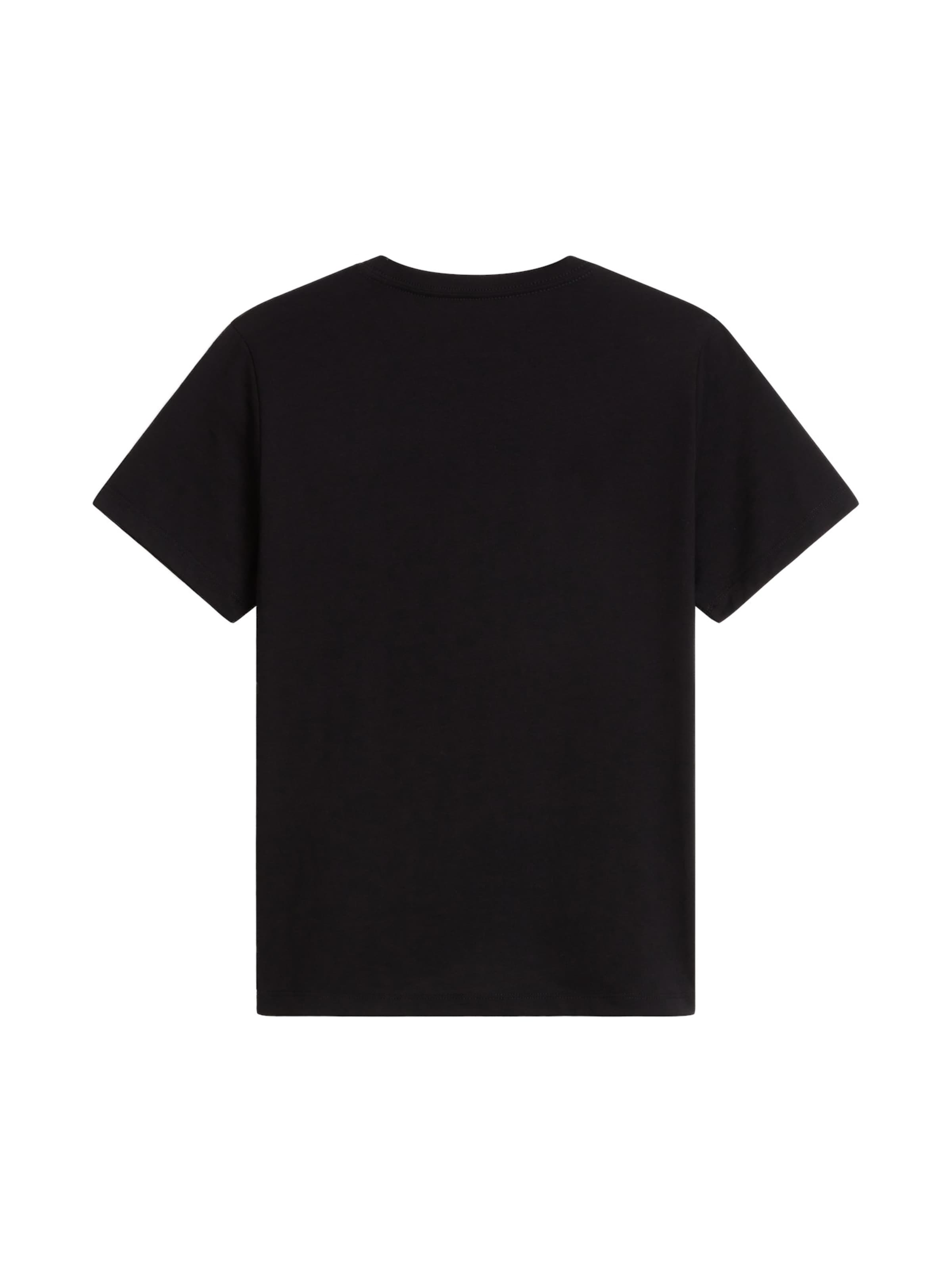 THE NORTH FACE Shirt 'Evolution' in Zwart