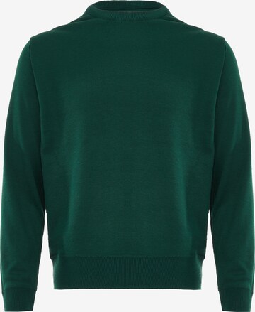 Pull-over BLONDA en vert : devant