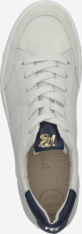 Paul Green Sneakers in Beige