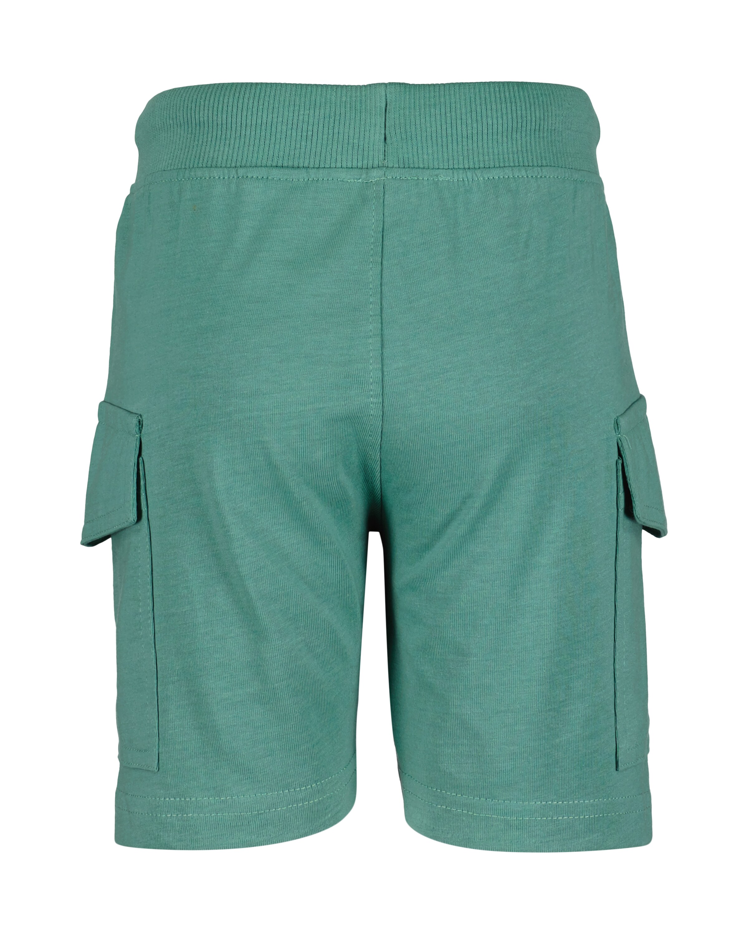 BLUE SEVEN Regular Pants in Green