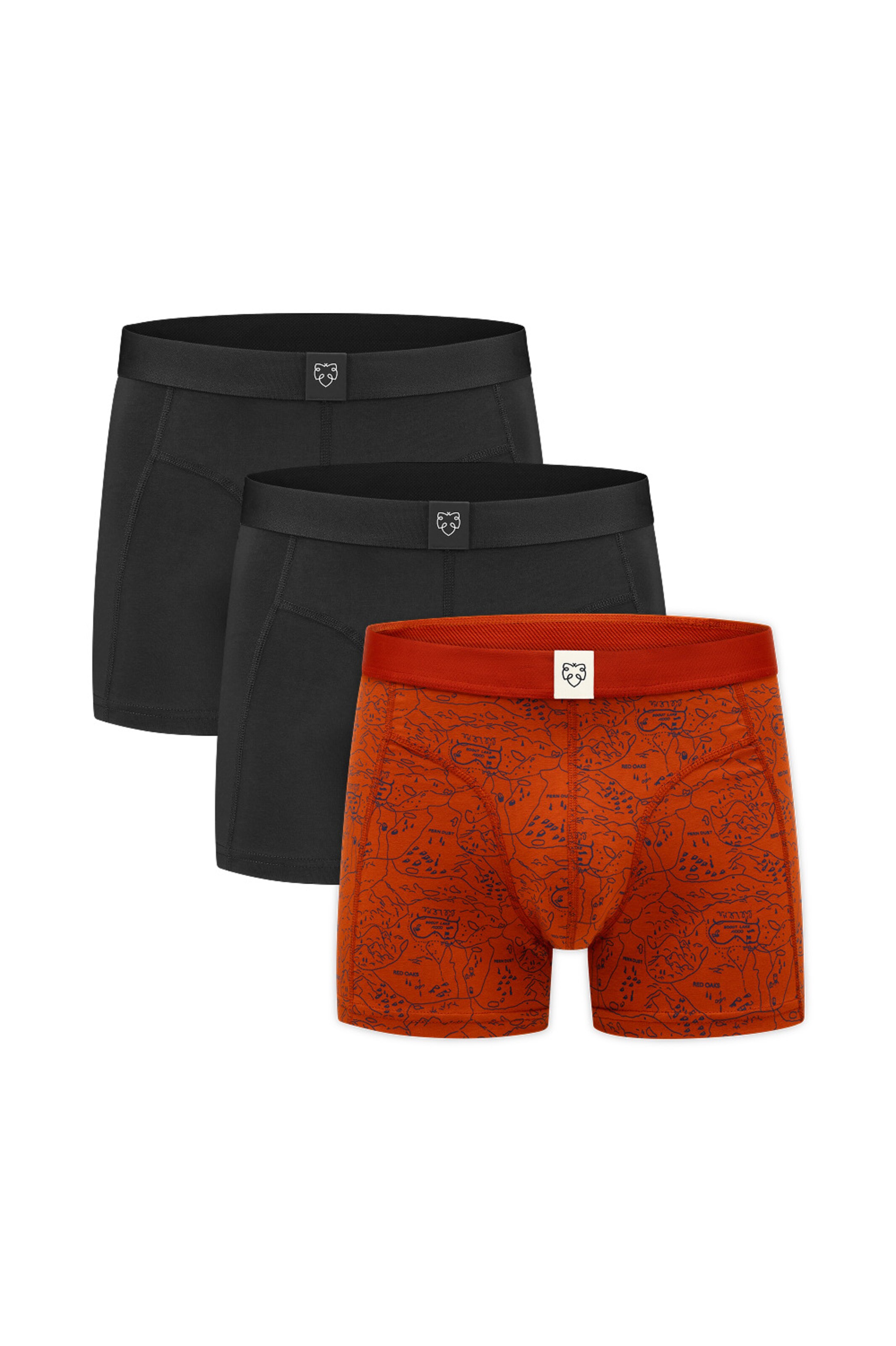 A-dam Boxershorts 'Ginger Scoutmap' (GOTS) in Rot: Vorderseite