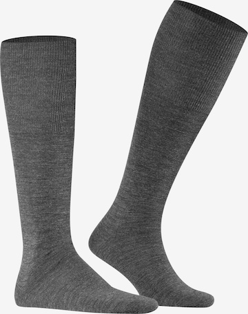 FALKE Knee High Socks 'Airport' in Grey: front