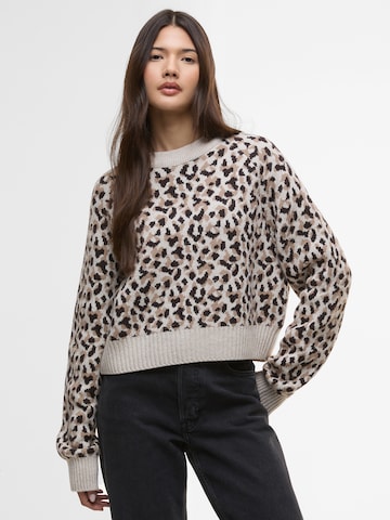 Barbour International Sweater 'Harley' in Brown: front