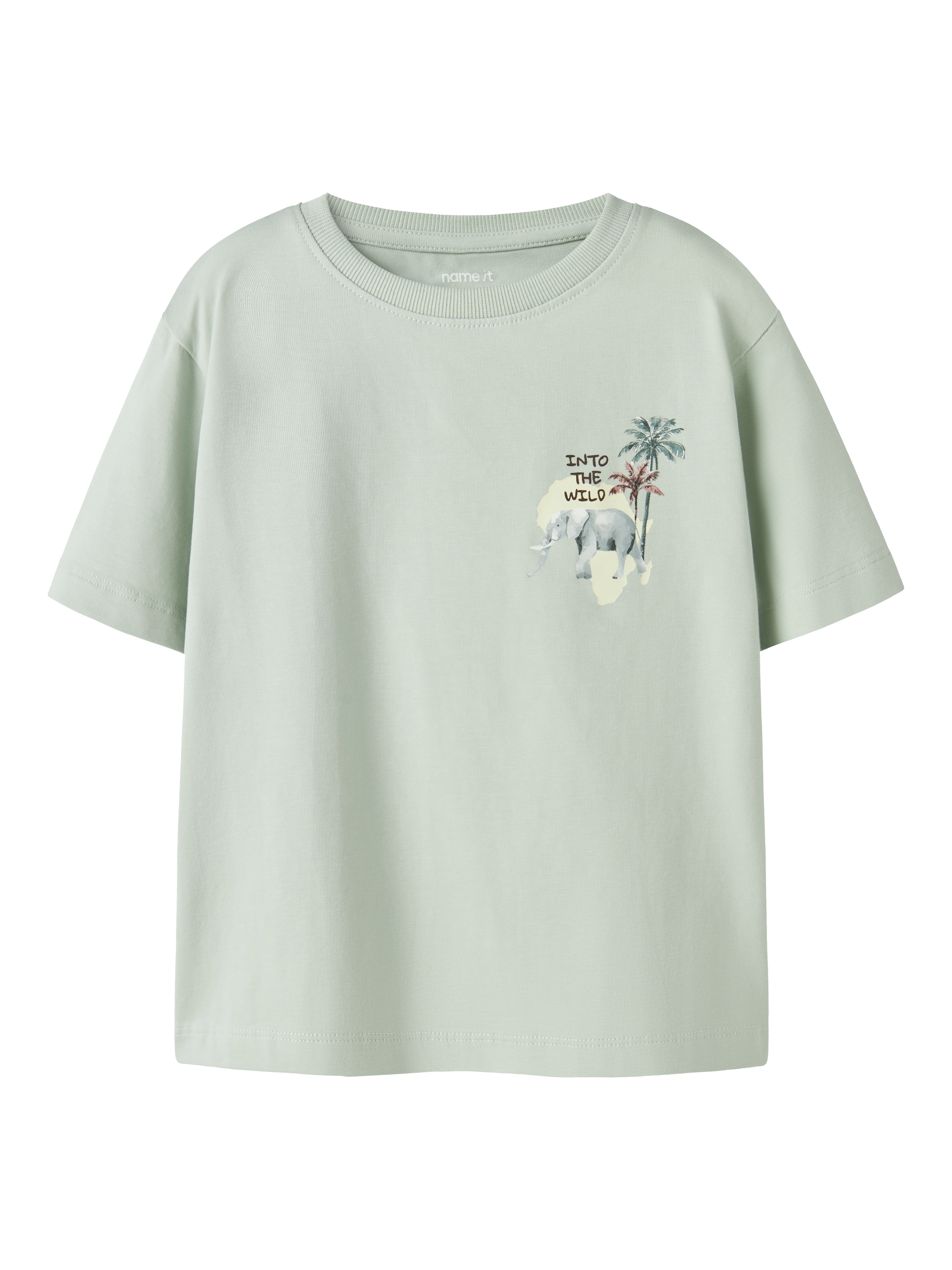 NAME IT Shirt 'NMMHUGO SS NREG TOP BOX' in Green: front