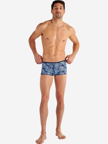 HOM Boksershorts 'Barrett' i blå