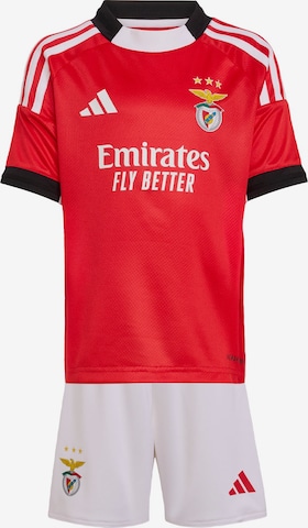 ADIDAS PERFORMANCE Trainingsanzug 'Benfica Lissabon 25/26' in Rot: Vorderseite