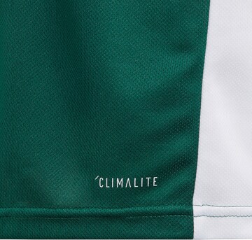 Maglia funzionale 'Entrada 18' di ADIDAS PERFORMANCE in verde