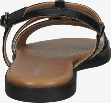 GEOX Sandalen met riem in Zwart