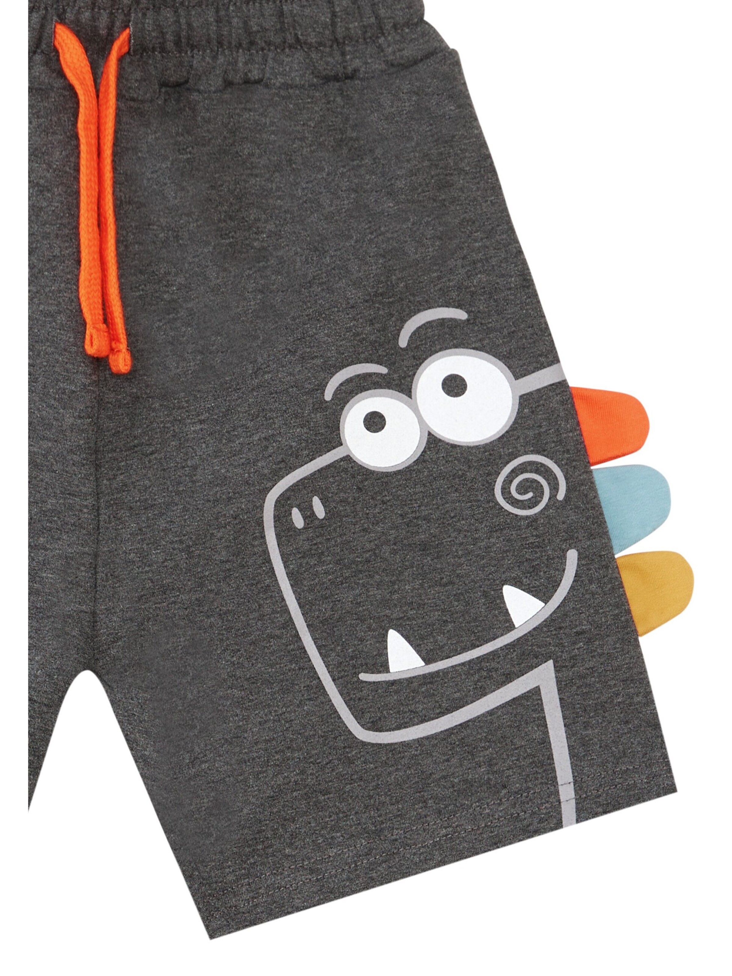 Denokids Set 'Rawr Dino' in Grau