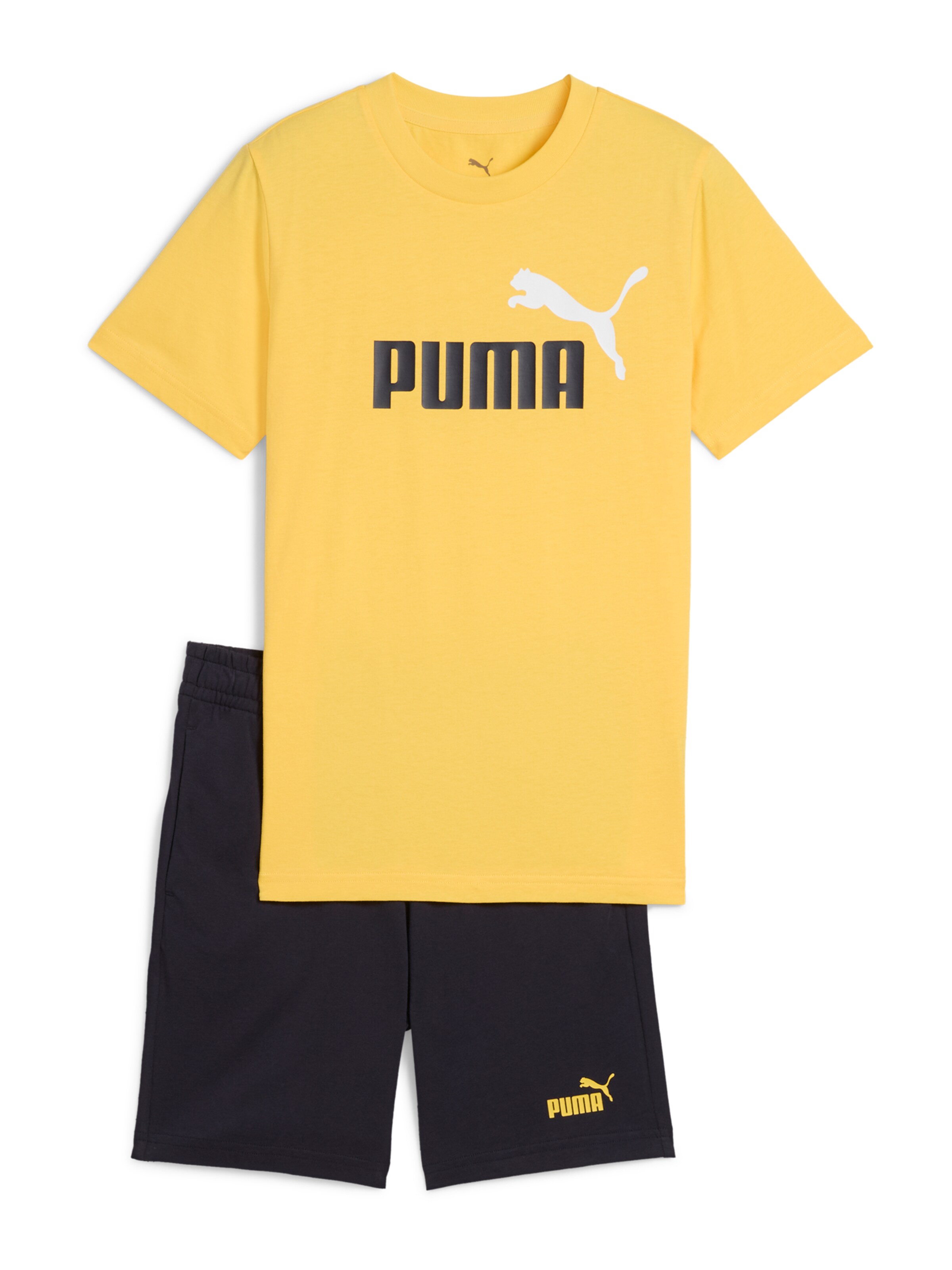dzeltens PUMA Komplekts 'ESS No. 1': no priekšpuses