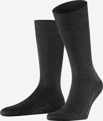 FALKE Socks 'Cool 24/7' in Grey: front