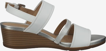 GEOX Sandalen met riem in Wit