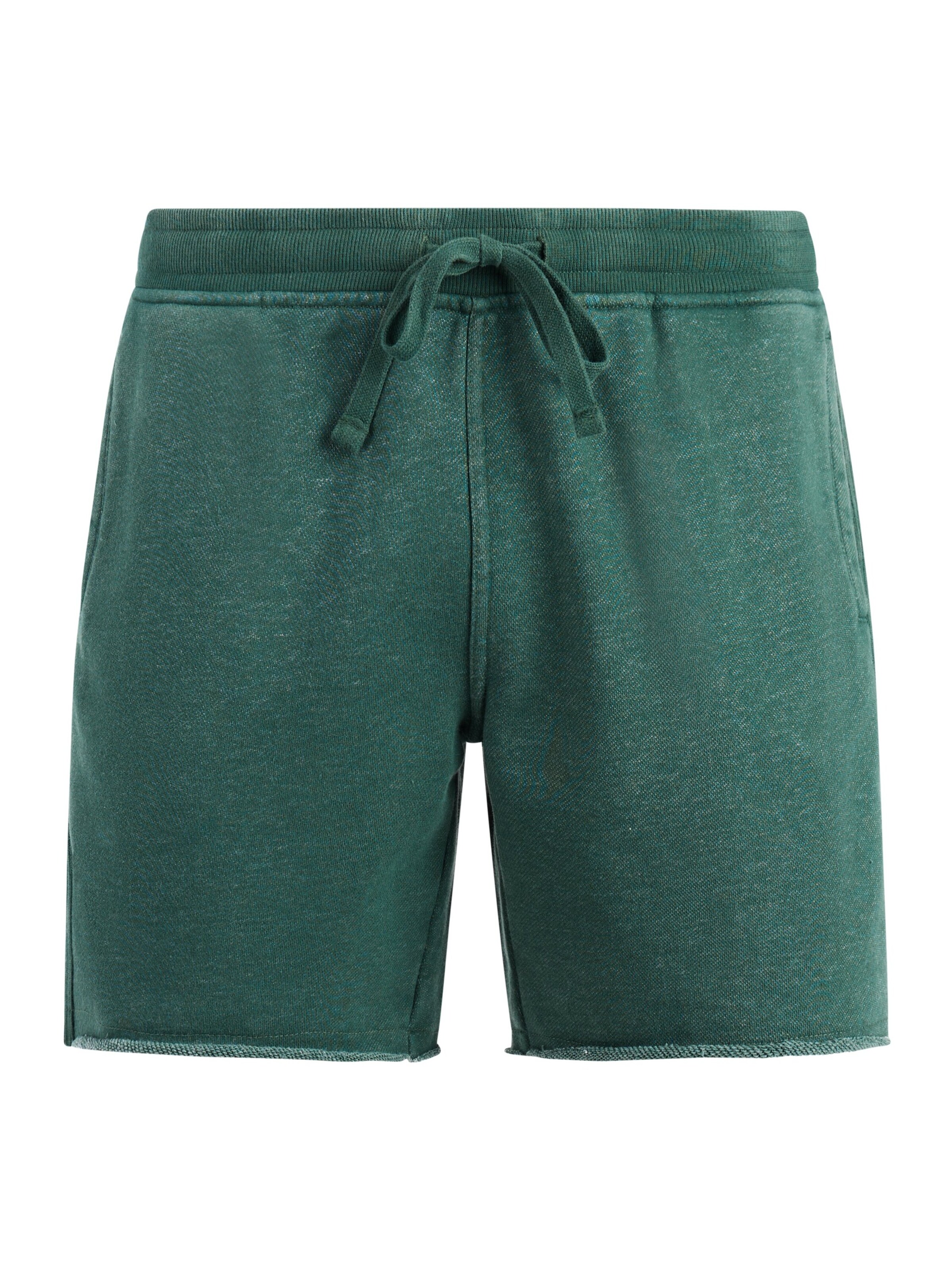 PROTEST Regular Pants 'PRTGalvan' in Green: front