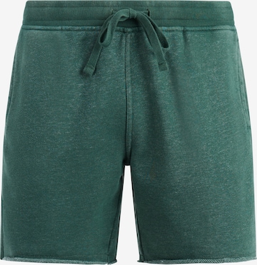 PROTEST Pants 'PRTGalvan' in Green: front