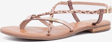 Les Tropéziennes Strap Sandals in Gold: front