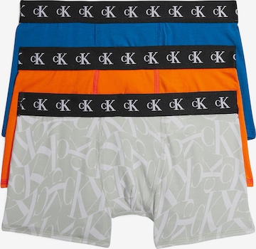 Calvin Klein Underwear Underpants in Blue: front
