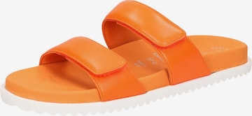 SIOUX Mules 'Ingemara' in Orange: front