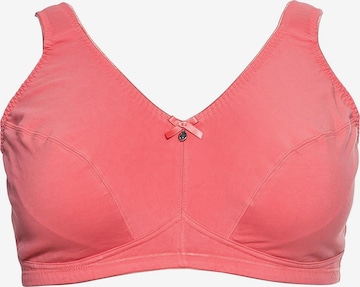 SHEEGO Bralette Bra in Red