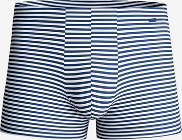 CALIDA Boxershorts 'Grafic Cotton' in Grau: Vorderseite