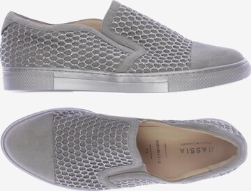 HASSIA Flats & Loafers in 41 in Grey: front