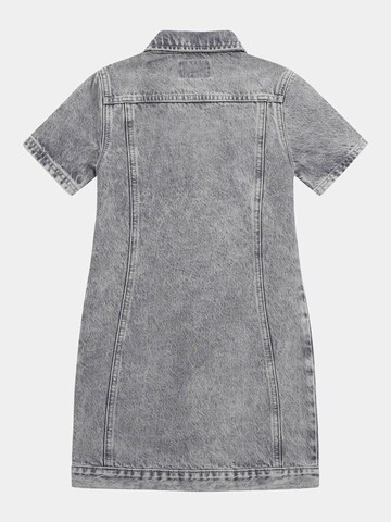 GUESS Kleid in Grau