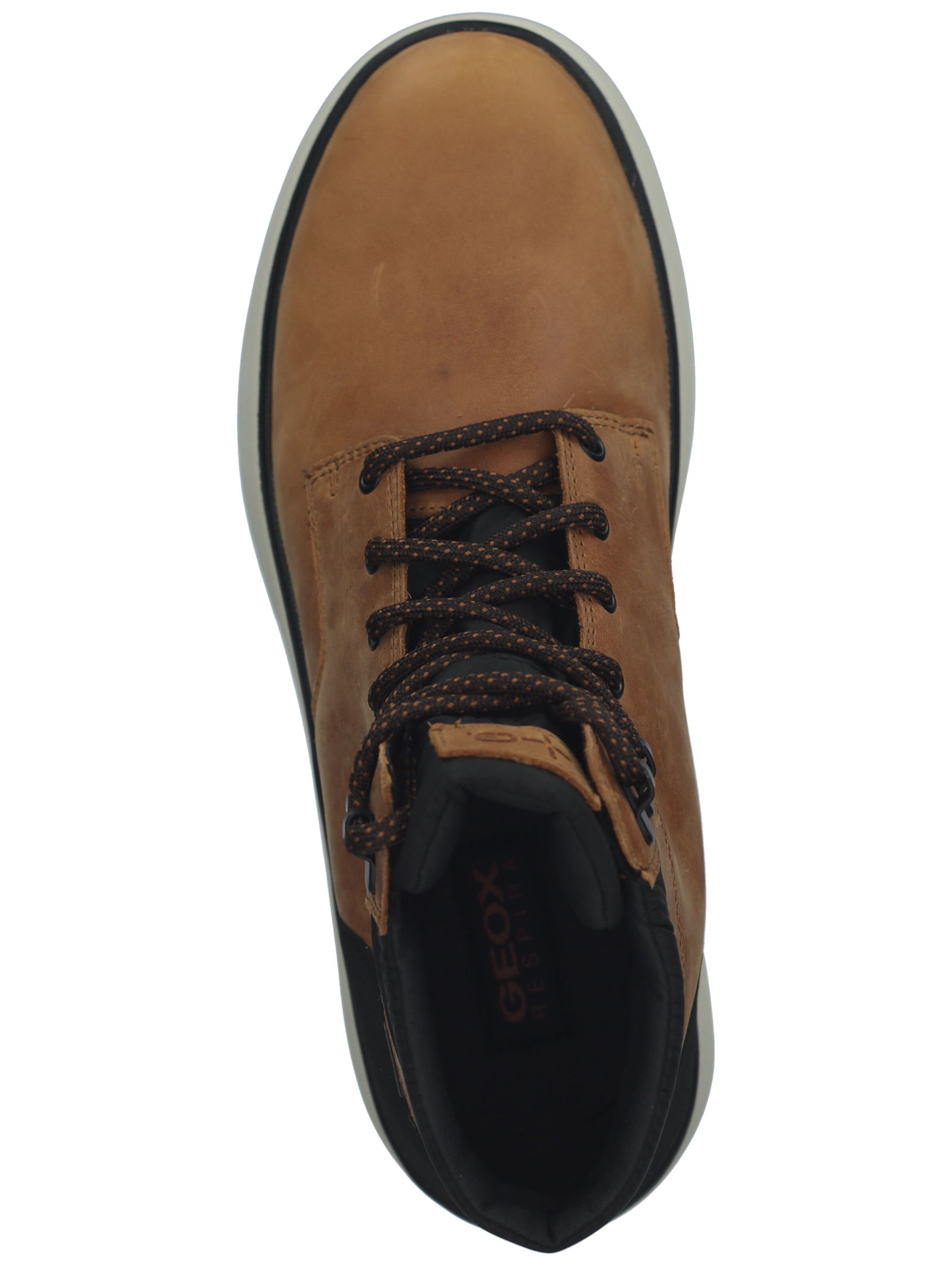 GEOX Schnürboots 'Granito' in Braun