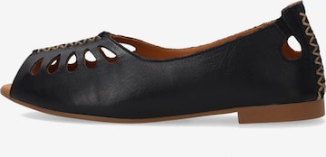 VENEZIA Ballet Flats in Black: front