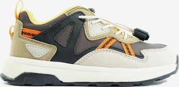 Palladium Sneaker 'Ax-Eon Looutcity Dusky Green' in Mischfarben: Vorderseite
