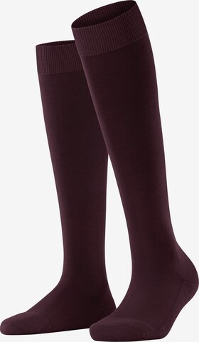 FALKE Knee High Socks 'ClimaWool' in Red: front