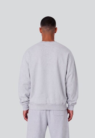 Colucci Sweatshirt in Grijs