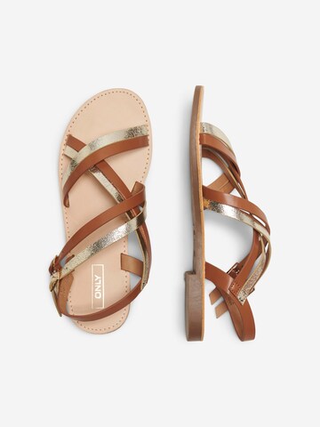 ONLY Sandalen met riem 'MANDALA-18' in Bruin