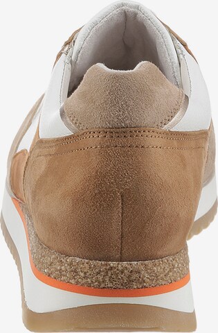 GABOR Sneaker in Beige