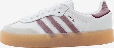 ADIDAS ORIGINALS Matalavartiset tennarit 'Samba' koossa 35,5 värissä vaaleanharmaa / tummanvioletti / valkoinen, Tuotenäkymä