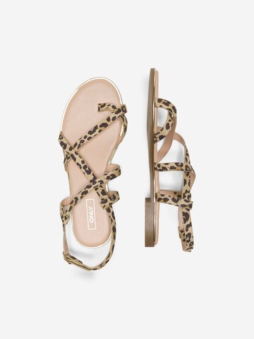 ONLY - Sandalias con hebilla 'ONLMari-2' en beige