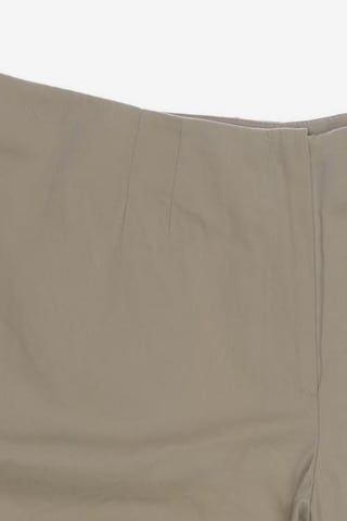 Elegance Paris Shorts XXXL in Beige