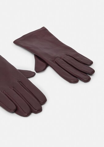 Gants COMMA en violet