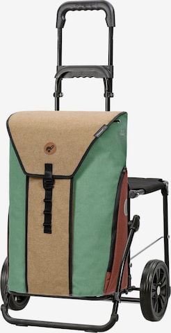 Trolley 'Oli.P 2.0' di Andersen Shopper in beige: frontale