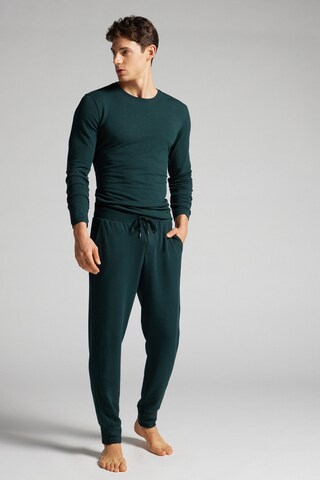 INTIMISSIMI Tapered Hose in Grün