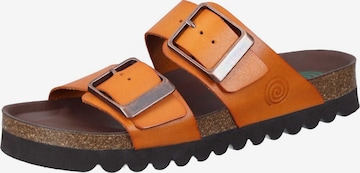 DR. BRINKMANN Mules 'Bonillo' in Orange: front