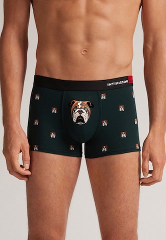 INTIMISSIMI Boxer shorts in Green: front