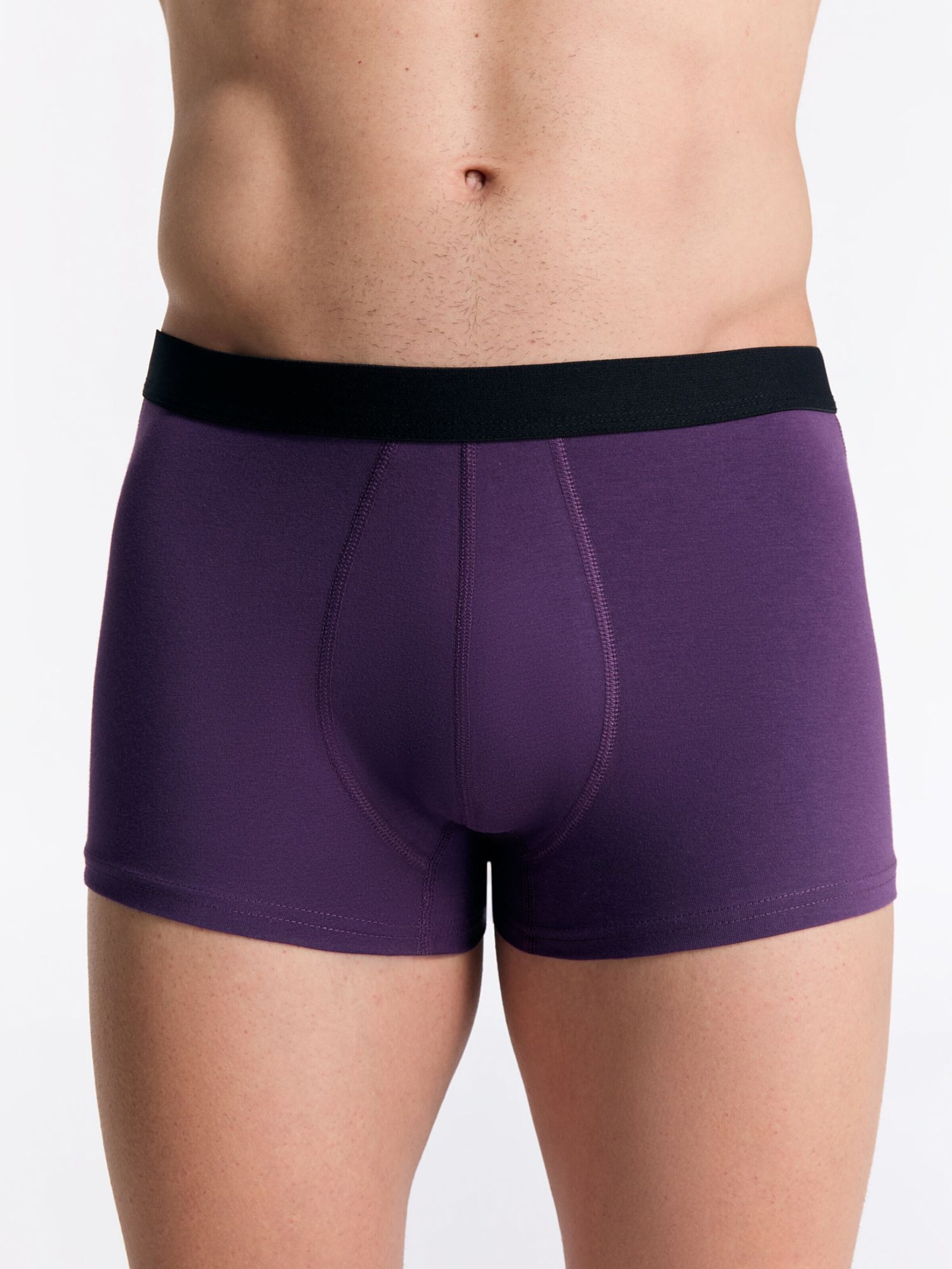 Albero Natur Boxer shorts 'Herren Trunkshorts aus Bio-Baumwolle' in Purple: front