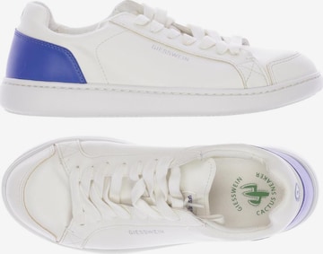 GIESSWEIN Sneakers & Trainers in 38 in White: front