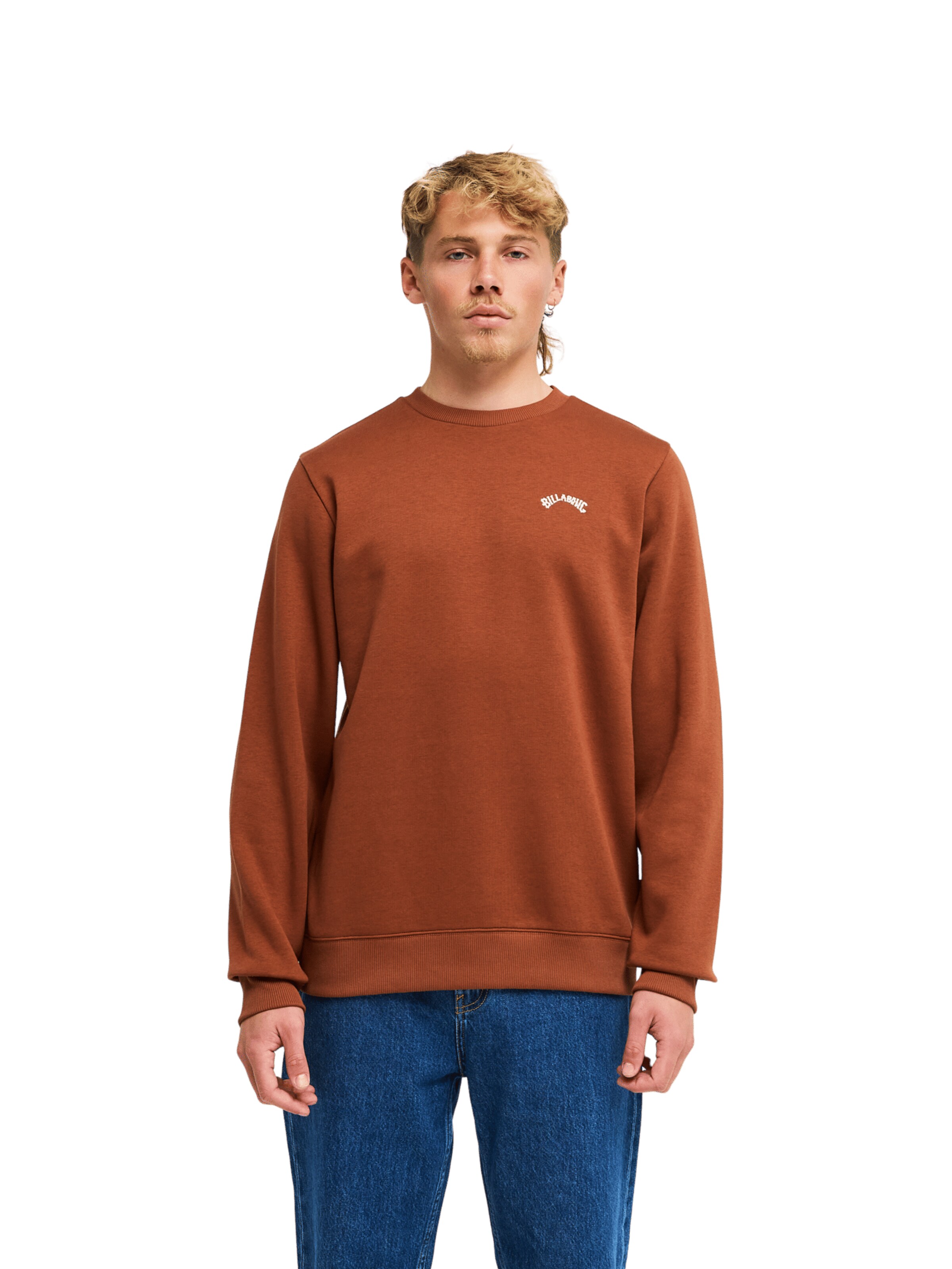 BILLABONG Sweatshirt 'Arch' in Brown: front