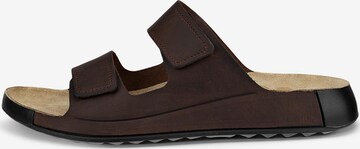 ECCO Mules in Brown