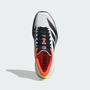 Chaussure basse 'Agravic 4' ADIDAS TERREX en blanc