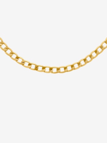 Heideman Necklace 'Jackson' in Gold