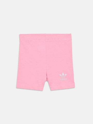 ADIDAS ORIGINALS Set in Roze