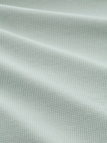 TOM TAILOR Poloshirt in Grün