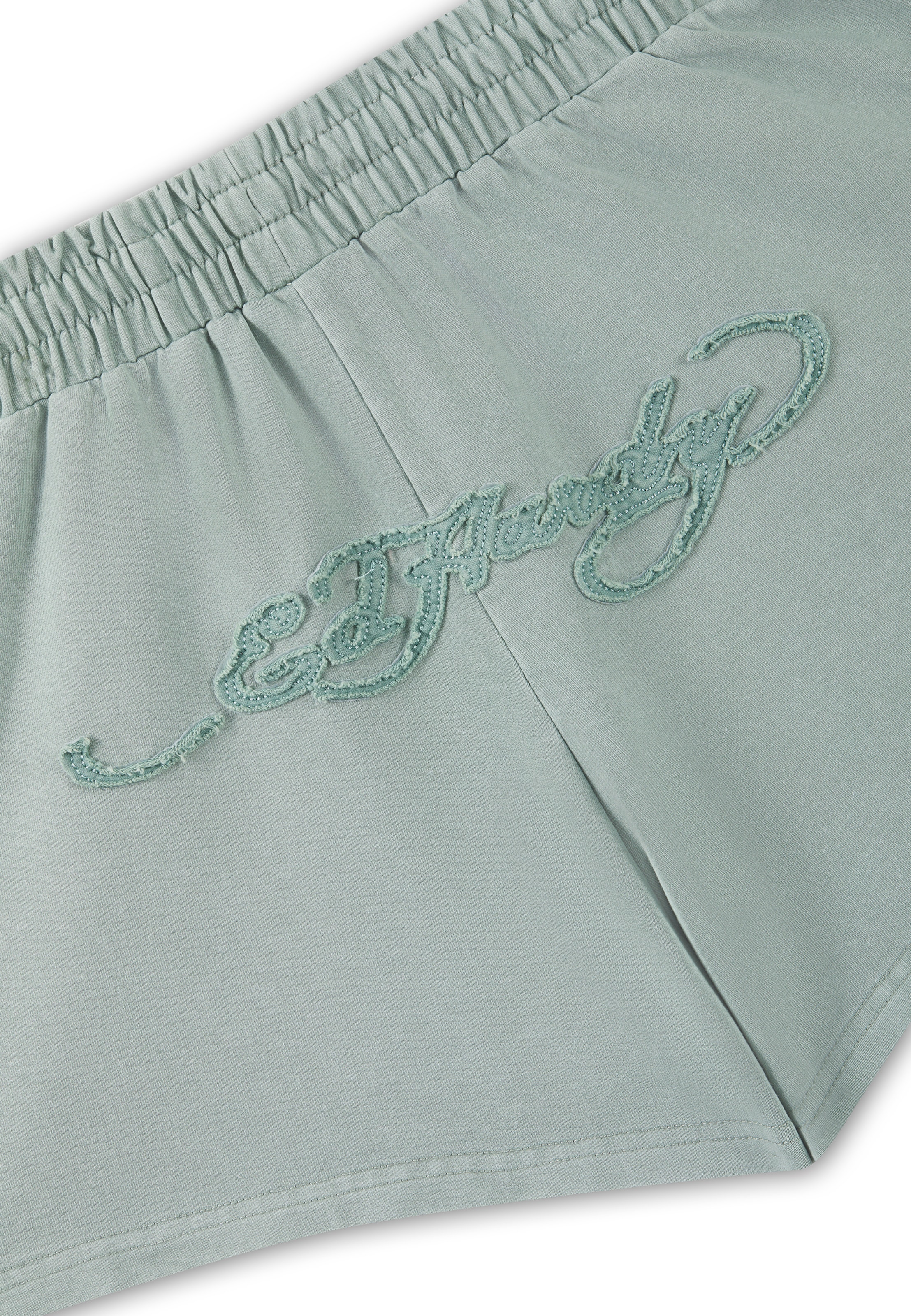 Ed Hardy Обычный Штаны в Зеленый