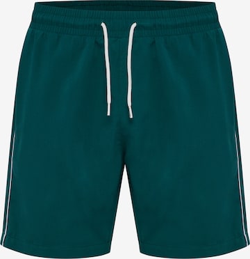 Hummel Boardshorts 'Pulse' in Grün: Vorderseite
